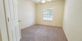 Buena Vista Gallery 1