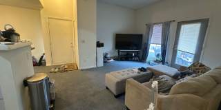 University Park Gallery 286