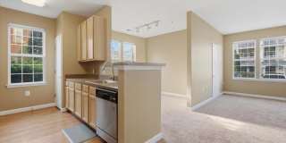 22691 BLUE ELDER Terrace unit: 101 Gallery 4