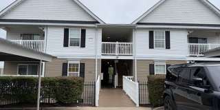 8303 Spring Creek Lane Gallery 1
