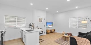 Brand new! Gallery 7
