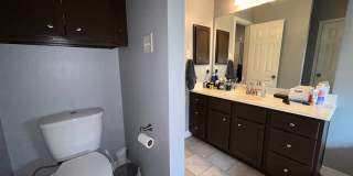 3933 Tranquil Path Drive Gallery 10