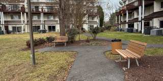 Spacious 3 Bedroom Condo- RENT TODAY & SAVE! Gallery 22