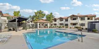 Vetra Chandler Gallery 9