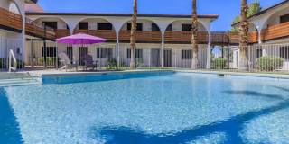 Aster on University Gallery 4