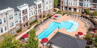 Holly Crest Gallery 2