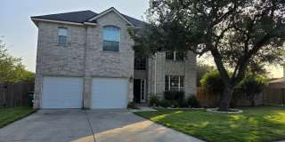 20907 Encino Ash 20907 Encino Ash Gallery 1