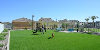 Village at the Blvd Gallery 34