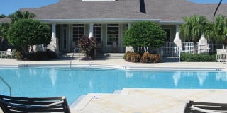 Springs at Palma Sola Gallery 40