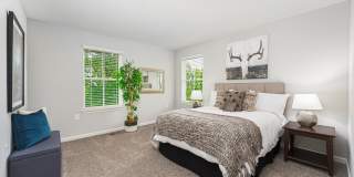 Liberty Reserve Gallery 19