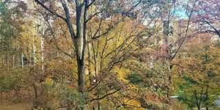 15100 INTERLACHEN Drive Gallery 5