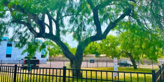 The LUX Seaside Gallery 53