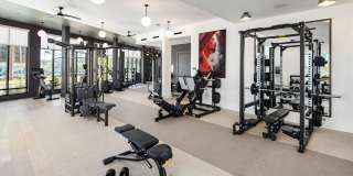 Novel Edgehill Gallery 32