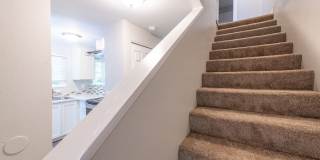 3325GARD Gallery 9