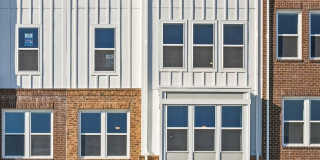 19874 YELLOW DAISY Terrace Gallery 1