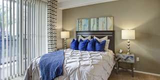 Rio Paradiso Apartment Homes Gallery 11