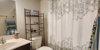 13224 Dowdens Ridge Dr Gallery 3