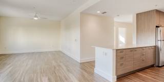 Mission Bay by Windsor Gallery 12