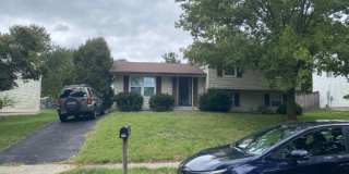 7726 Acrocomia Dr Gallery 1