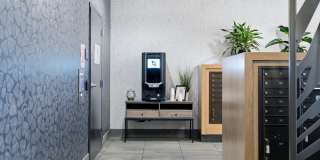 Hollis Gallery 25
