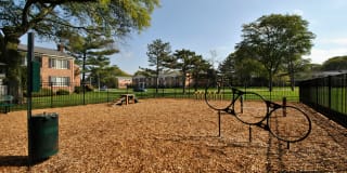 The Maxwell Gallery 9