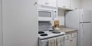 Ocean Club Gallery 25