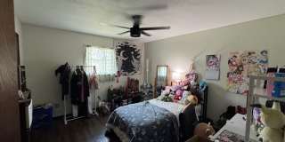 Corner Lot Home with Beautiful Trees Gallery 8
