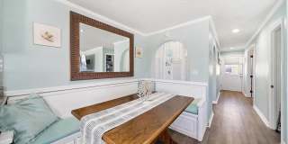 Dolphin Beach Gallery 14