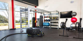 Gallery at Domain Gallery 21