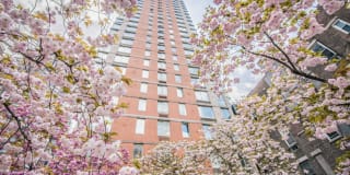 Longacre House Apartments Gallery 1
