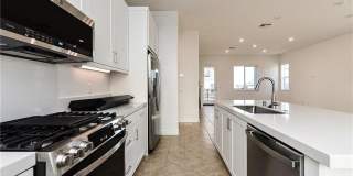 258 Sash 258 Sash Gallery 3