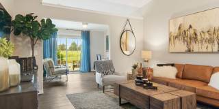 Redwood Valley City Gallery 4