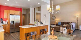 54838 Oak Tree Gallery 10