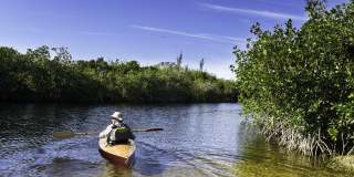 Waterline Bonita Springs Gallery 61