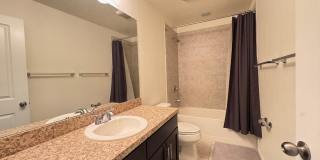 12377 Streambed Dr 12377 Streambed Dr Gallery 29