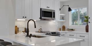 Palomino Park Resort Gallery 18