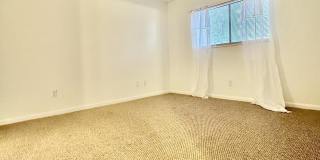 4451 Holly Tree Road Gallery 15