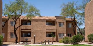Kachina Springs Gallery 2