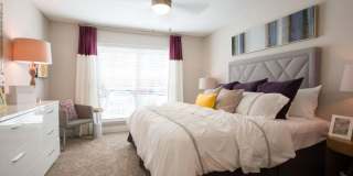 The Lily The Lily Gallery 9