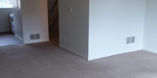 Westbury Park Gallery 70