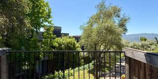 Recently Updated One Bedroom condo in the desirable Shelter Ridge Complex for rent! Gallery 25