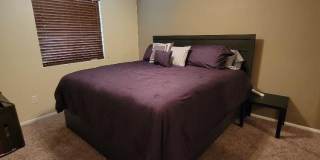 196 Wayfarer Ln Gallery 18