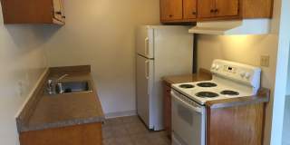 ROYALE APARTMENTS Gallery 1