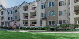 Paloma Vista Apartment Homes Gallery 38