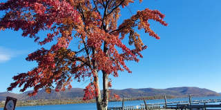 119 Montgomery St Gallery 1