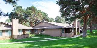 Arborpointe Gallery 6