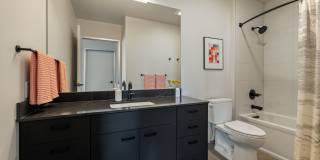 The Confidential The Confidential Gallery 8