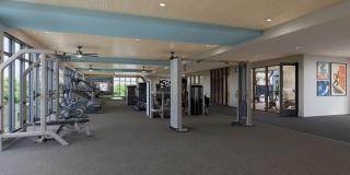 Ellison Nona Apartments Gallery 17