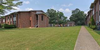 Noah's Landing Gallery 23