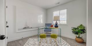 Mt. Rainier Gallery 32